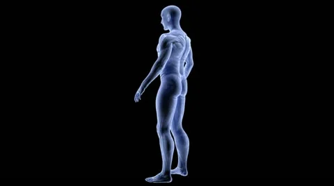 Human body Stock Footage 12097330