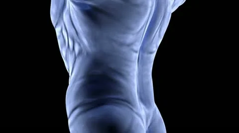 Human body Stock Footage 12097337