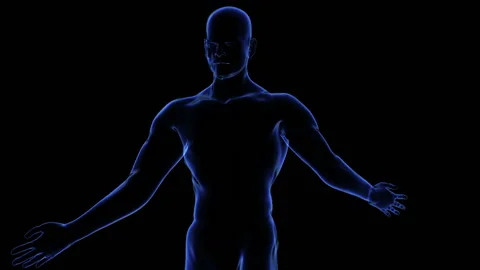 Human body Stock Footage 100645509