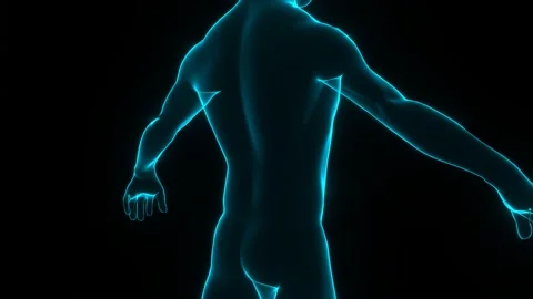 Human body. Human model rotation. Bioengineering and medical technology concept. Video stock 168877697