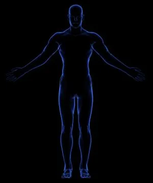 Human body Stock Illustration