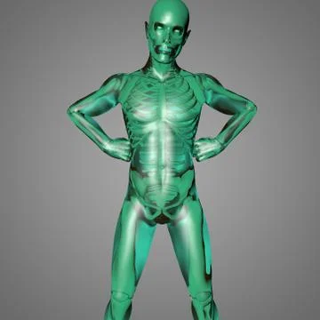 The human body Stock Illustration