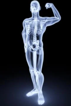 Human body Stock Illustration