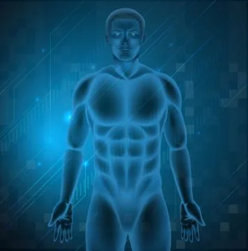 Human Body 库存插图