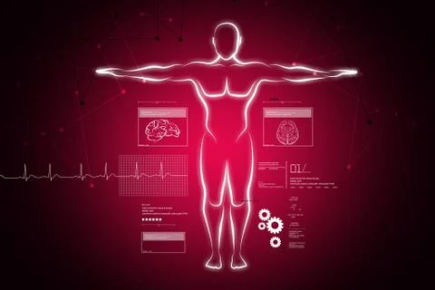 Human body Stock Illustration