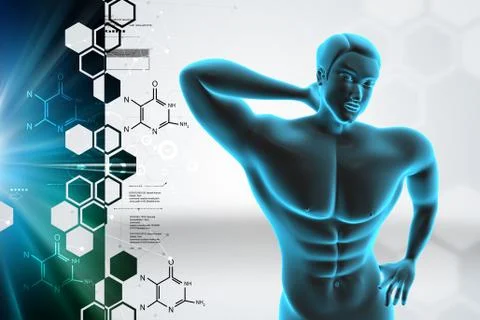 Human body Illustrazione stock