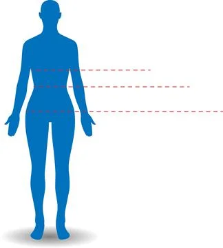 Human body Stock Illustration