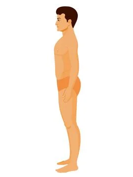 Human body Stock Illustration
