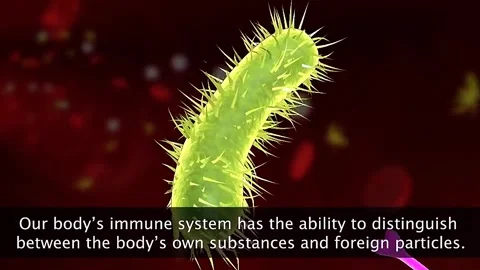 Human body Immune system Stock Footage 319704163