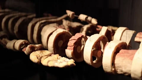 Human body internal cross section Stock Footage 331090353