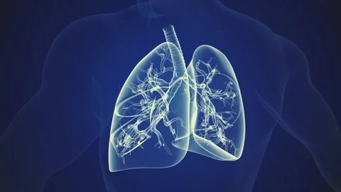 Respiratory Background Stock Video Footage | Royalty Free Respiratory ...