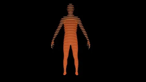 Human body made of contour lines and slices. 3d animation render. Stock Footage 314288900