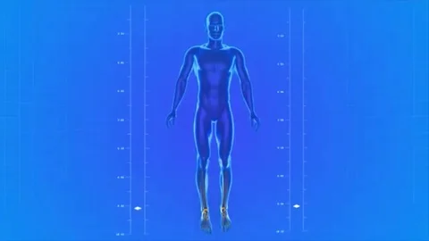 Human body of a man for study, spinning, great to be used in medicine works and  Stock Footage 98247274