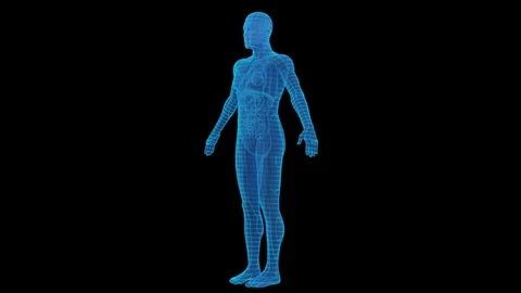 The human body meridian Stock Footage 121986076