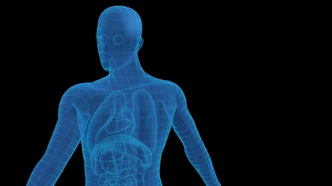 The human body meridian Stock Footage 121986080