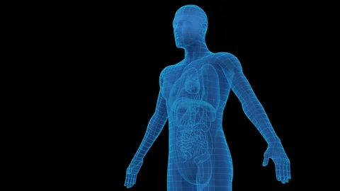 The human body meridian Stock Footage 121986089