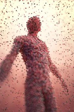 Human Body Molecular Structure Stock Illustration