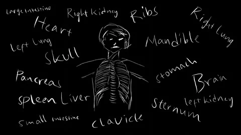 Human Body Organs with Ribs and Handwritten Labels on Black Background Stock Footage 296298448