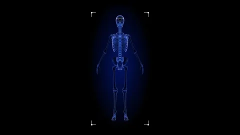 Human Body Outline Without X-Ray Skeleton Imaging for Healthcare and Innovation  Stock Footage 290011284