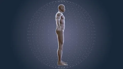 Human body with plexus technology background Illustration