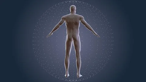 Human body with plexus technology background イラスト素材
