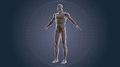 Human body with plexus technology background Stock Illustration