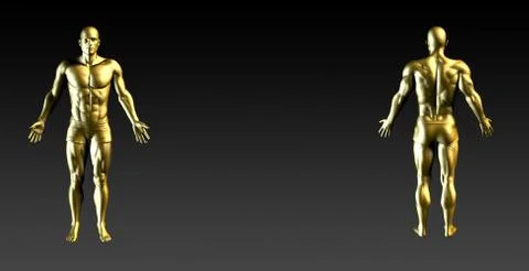 Human Body Presentation Background Stock Illustration