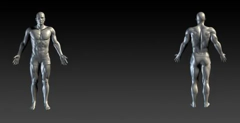 Human Body Presentation Background Stock Illustration
