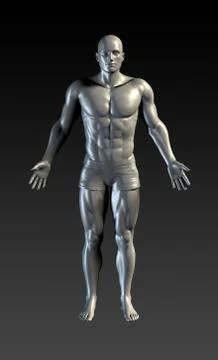 Human Body Presentation Background Illustrazione stock