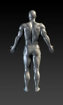 Human Body Presentation Background 库存插图