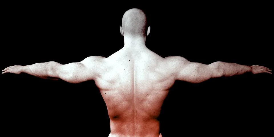 Human Body Presentation Background 库存插图