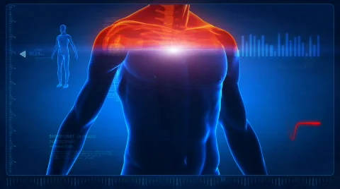 Human body scan - part 4 - chest and spine Stock Footage