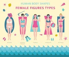 Human body shapes. Woman breast form set. Bra type - Stock Illustration  [43070582] - PIXTA