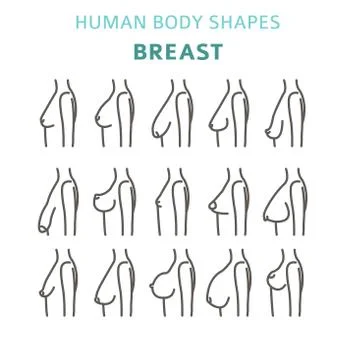 Human Body Shapes Woman Breast Form Set Vector Illustration Stock