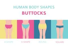 Vetor de Human body shapes. Woman breast form set. Bra types do Stock