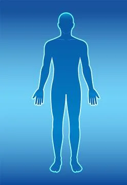 Human Body Silhouette on Gradient Background 스톡 일러스트