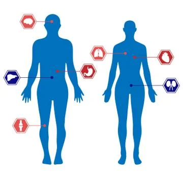 Human body silhouettes Stock Illustration