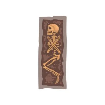 Human Body Skeleton Bones in Coffin, Archaeological Artifact Vector Illustration Illustrazione stock