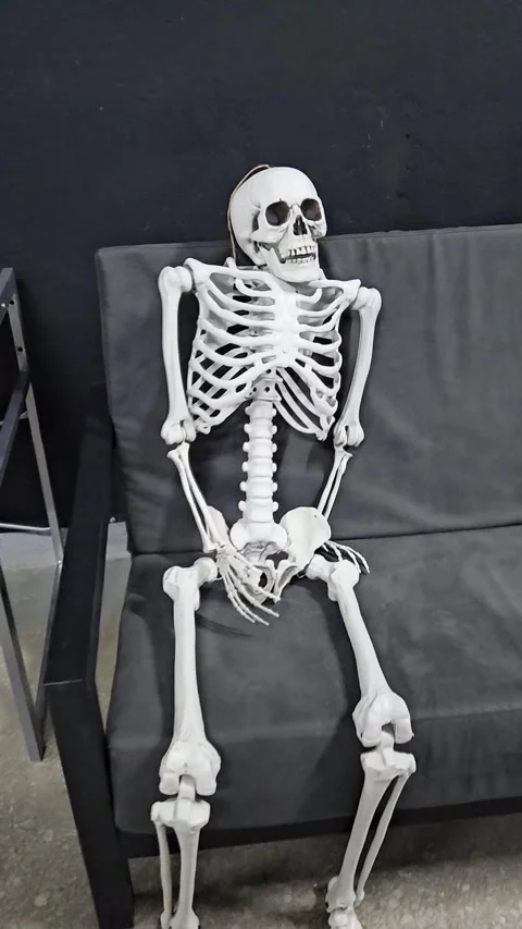 Human body skeleton model sits on gray soft sofa Stock Footage 308958159