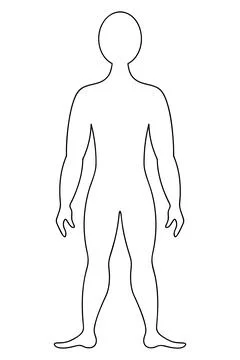 The human body. Sketch. Vector illustration. Stock Illustration
