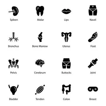 Human Body Solid Icons Pack Stock Illustration