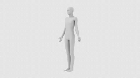 Human body, transparent skeleton model, 3d rendered animation. Video stock 312198554