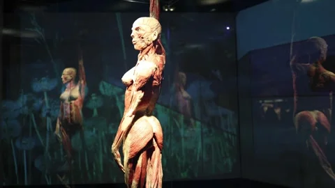 Human body vulnerability concept Stock Footage 331090914