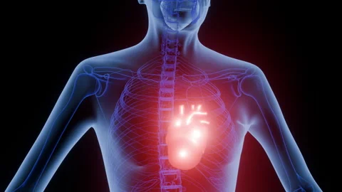 Human Body X Ray Vídeo Stock 325721123
