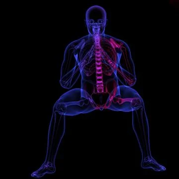 Human body x-ray Stock Illustration