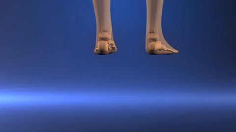 Human body x-ray scan Stock-Footage 33849640