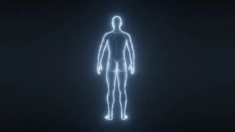 Human body x-ray scan showing skeletal structure against dark background. 3D Stock Illustration