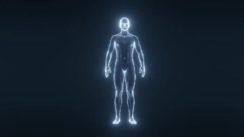 Human body x-ray scan showing skeletal and muscular systems in a futuristic Stock Illustration