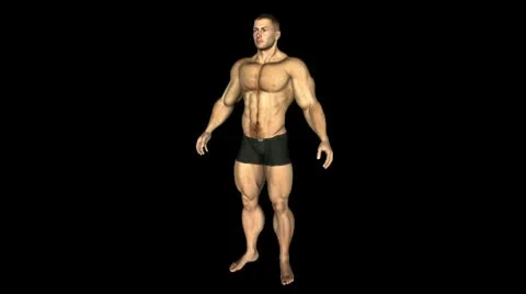 The Human BodyBuilder Animation. Loop. Alpha Stock Footage 10736773