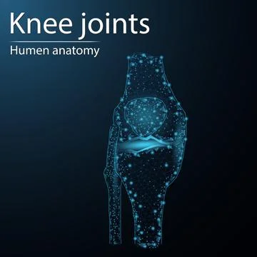 Human bone anatomy organ translucent low poly triangle futuristic glowing. On Stock Illustration